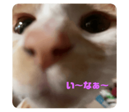 742823292