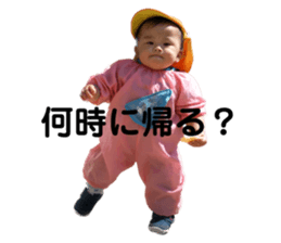 742823385