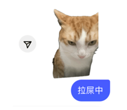 742838113