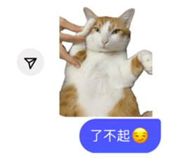 742838114