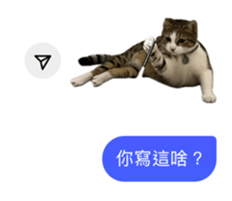 742838116
