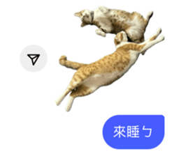742838120