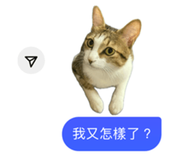 742838121