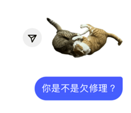742838122