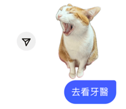 742838127
