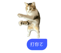 742838130