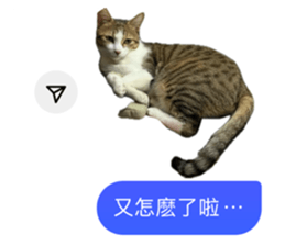 742838131