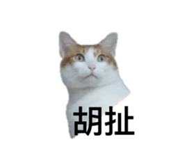 742838132
