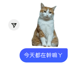 742838133