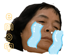 742838494