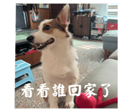 742839044