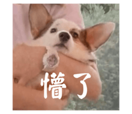 742839045
