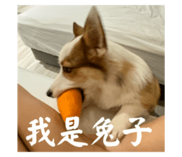742839065