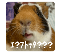 742901421