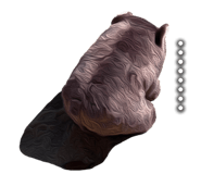 742914851
