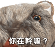 742914854
