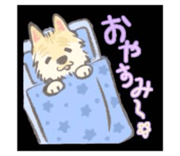 742923341