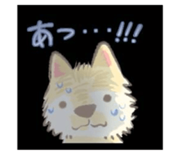 742923344