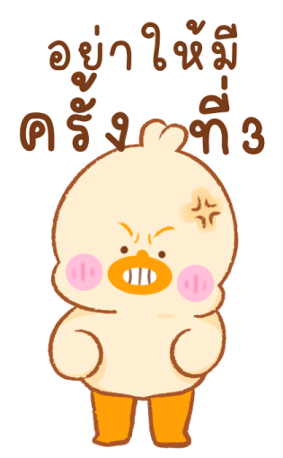 ลายที่ 11