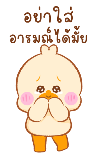 ลายที่ 31