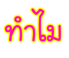 74293082