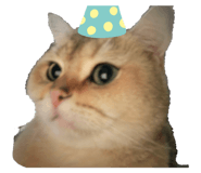 742938186