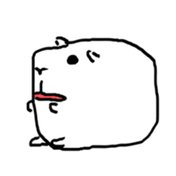 74294059