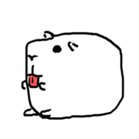 74294060