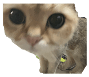 742943429