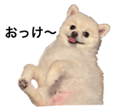 742944890