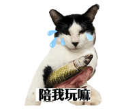 742948035