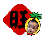 742950494