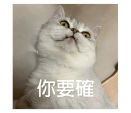 742952884