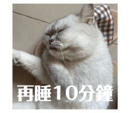 742952892