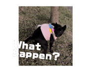 742957723