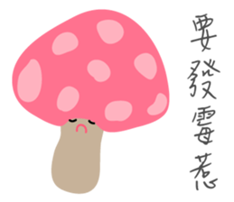 7429862