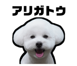 742986950