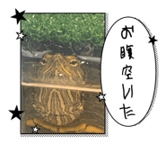 742990356
