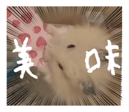 742990366