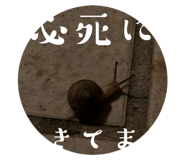 742990372