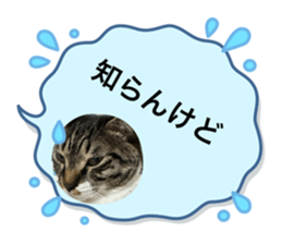 743011575