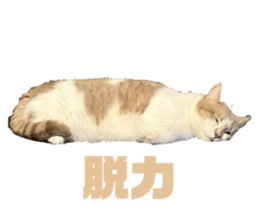 743011665