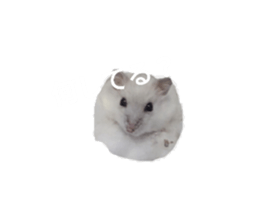 743037747