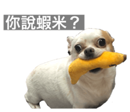 743058935