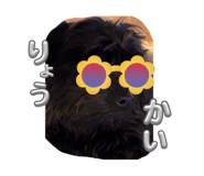 743068742
