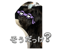 743068749