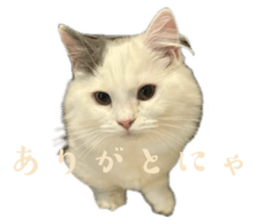 743076777
