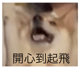 743086705