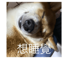 743086710