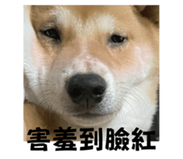 743086735
